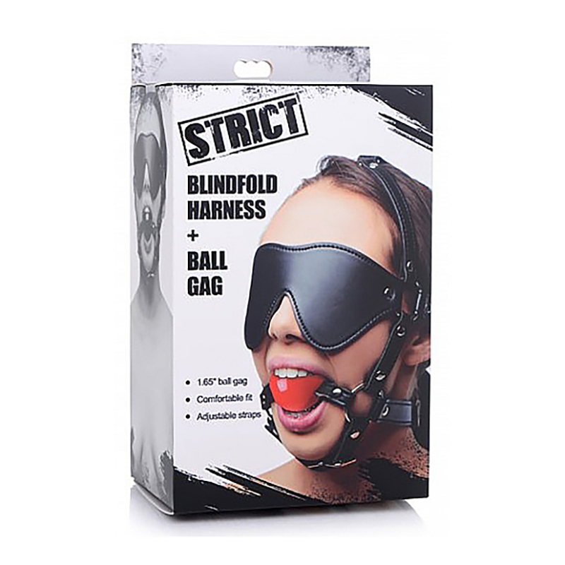 XR Brands – Blinddoek Harnas met Ball Gag - Afbeelding 4
