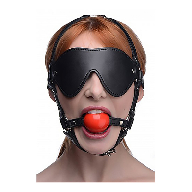 XR Brands – Blinddoek Harnas met Ball Gag - Afbeelding 2